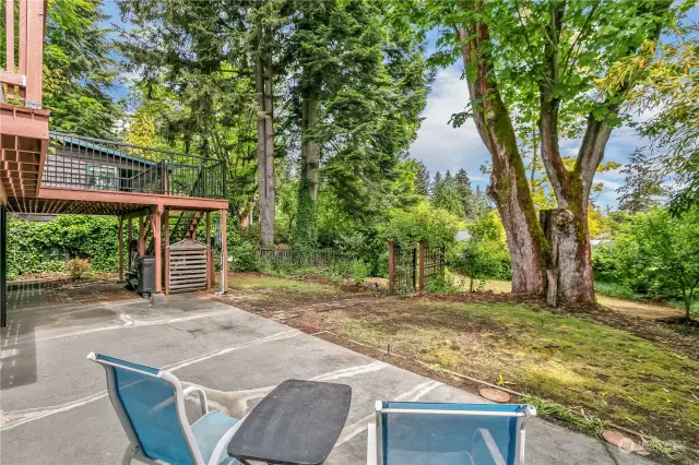It feels lush back here with the mature trees and plantings. This concrete patio can hold a dining table, lights, a firepit and more.