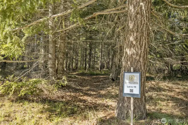 Lot 6-19 in Tumble Creek