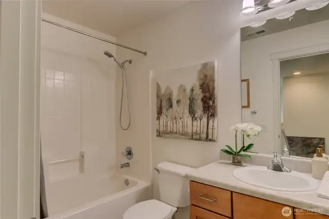 Guest Bath