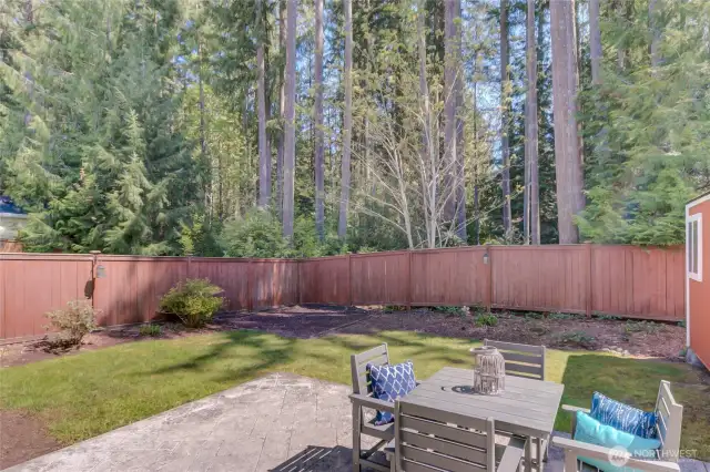 Amazing backyard, surrounded by tall trees