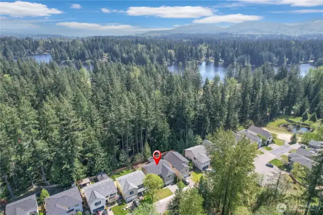 A stones throw to Beaver Lake - you can see the amazing trees.