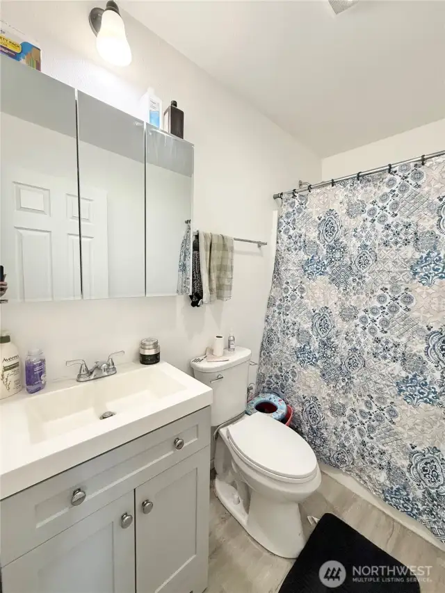 Main Full Bathroom