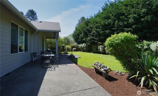 Patio and back yard