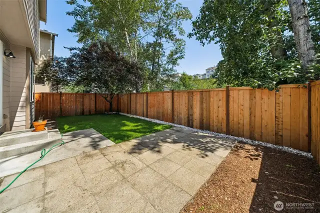 A very private backyard
