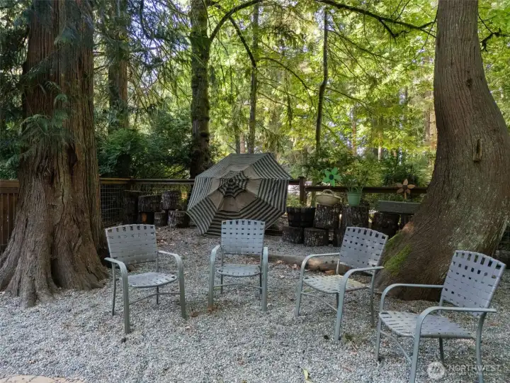 Dog-friendly graveled fenced yard under trees