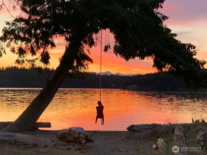 Famous rope swing at the end of the day