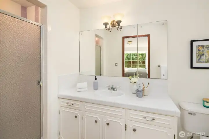 Ensuite primary bathroom with walk-in shower.