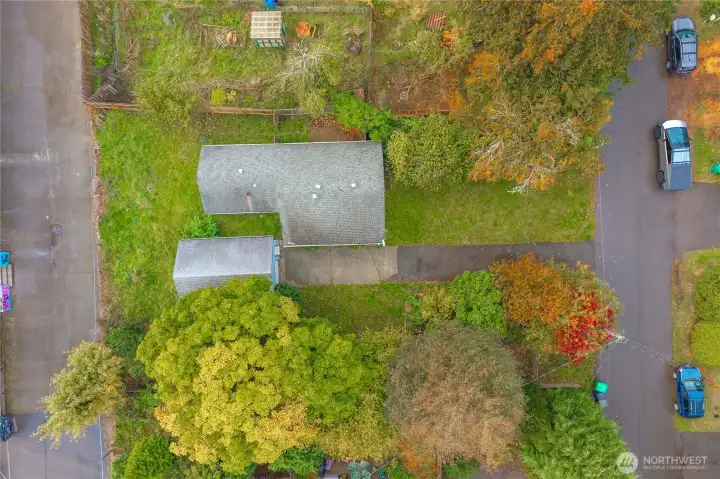 Nice privacy from your neighbors