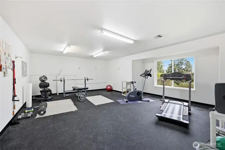 Well-equipped home gym or convert to another type of hobby room.