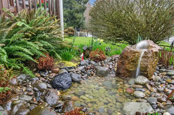 Front yard water feature