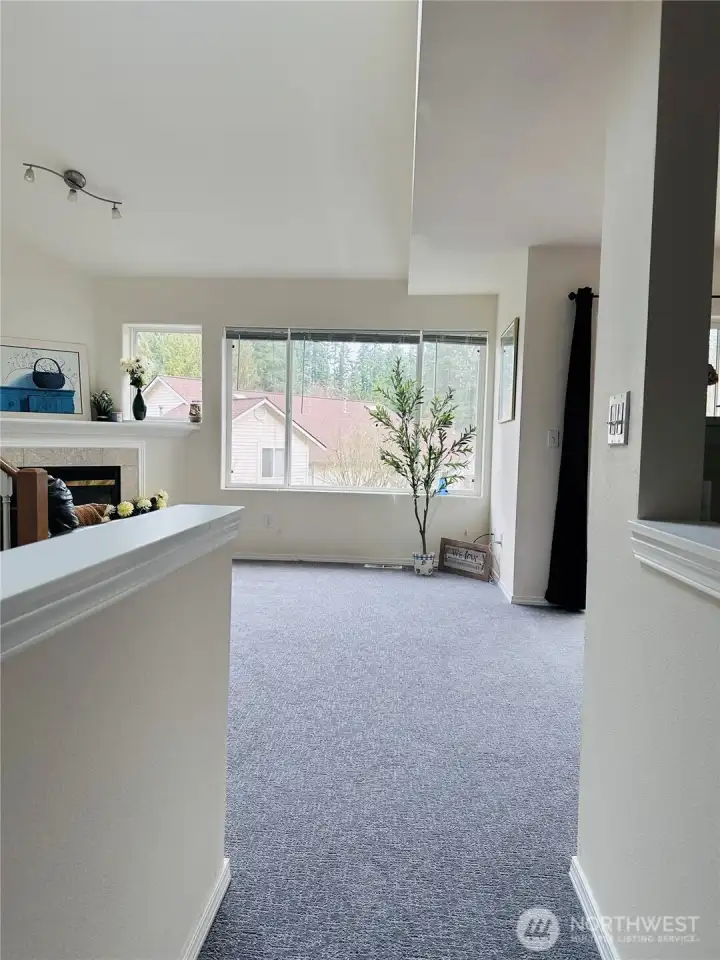 New Grey Color Carpet