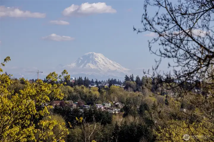 Wow - Mt. Rainier and Puget Sound view from this tucked away gem in Des Moines
