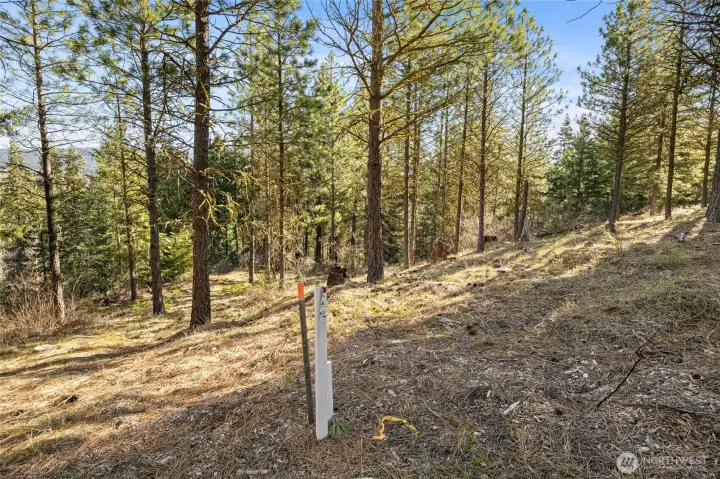 Property corners well identified