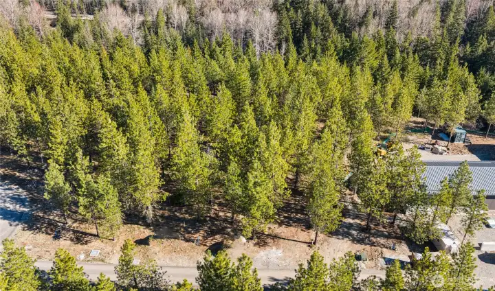 Secluded off a private access tract