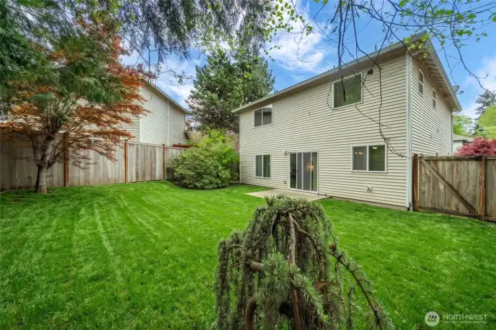 Virtually enhanced backyard for illustrative purposes