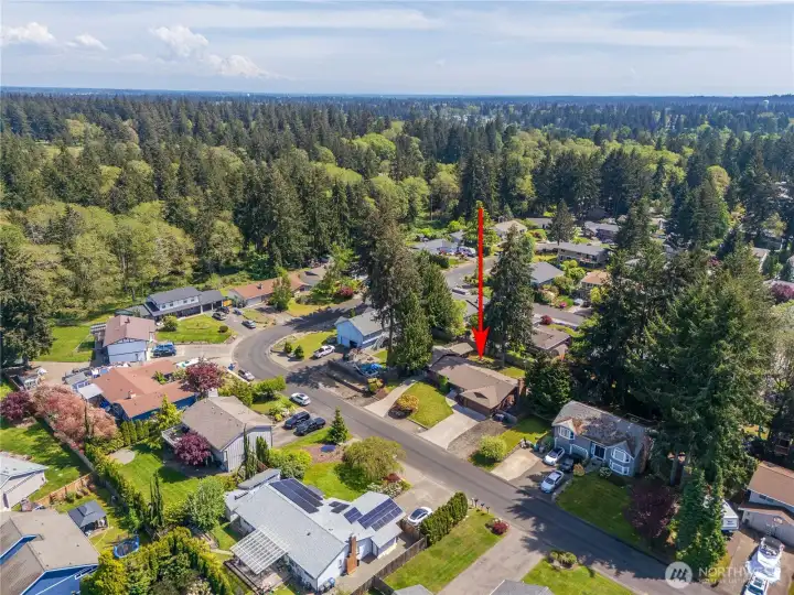 Birds Eye view with our friend Rainier in the back!