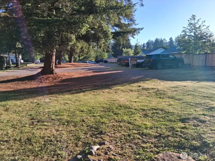 dog walking / work parking