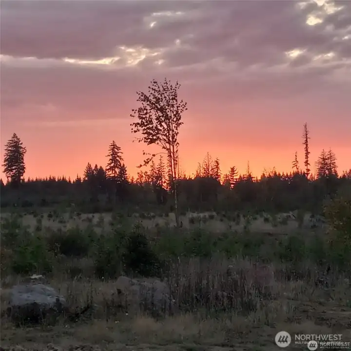 Evening view Evening view