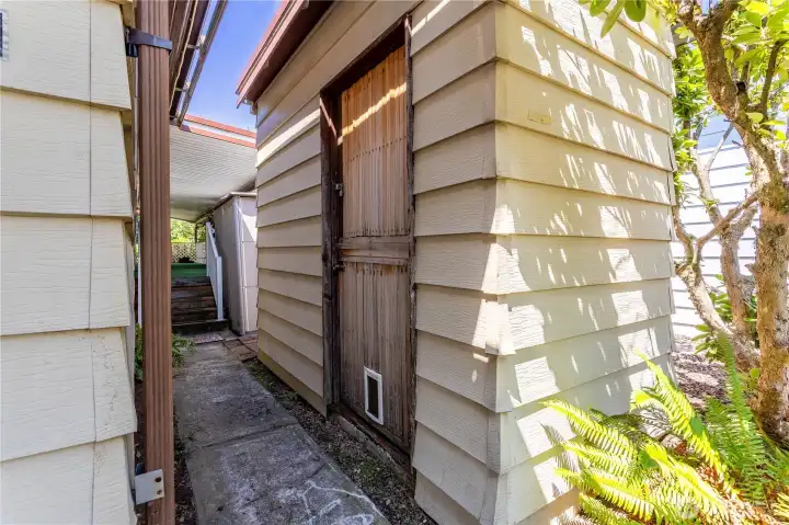 Shed Shed