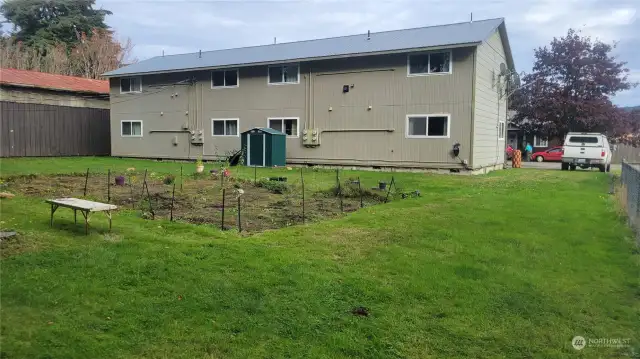 back yard