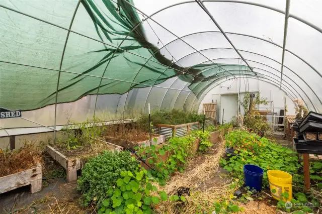 Possible purchase option on high tunnel green house