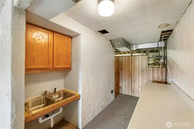 Daylight basement kitchenette