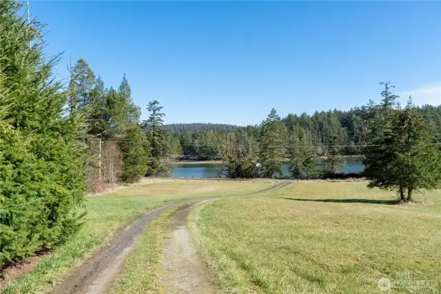 driveway from house toward Oro Bay