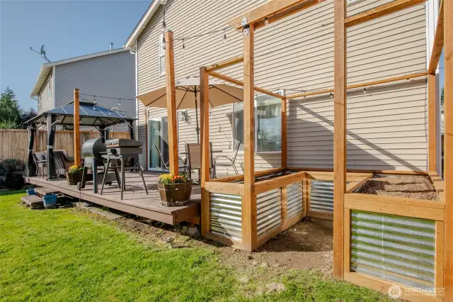 The beautifully built raised garden beds are thriving—with crops growing well since the photos were taken—offering a perfect space for your home gardening dreams to flourish!