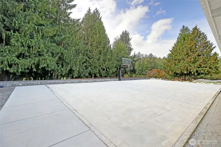 Professional-Grade Sport Court~