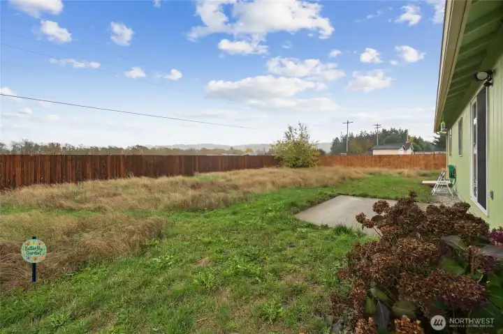 Fenced backyard