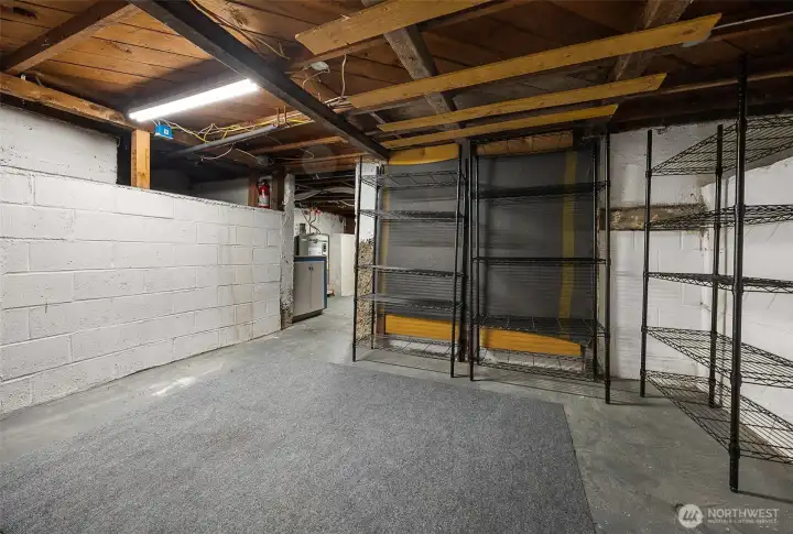 Downstairs unfinished basement has plenty of storage