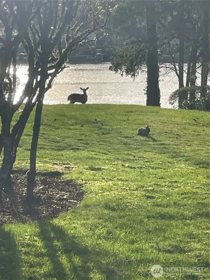 Serene peaceful park like setting