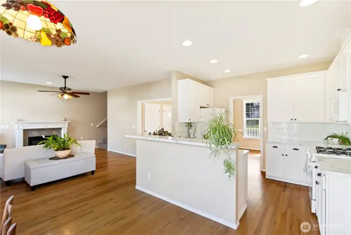 Great room with handsome hardwood floor, tiffany style lamps, natural gas fireplace, doorway on left to front foyer and doorway from kitchen to formal dining room.