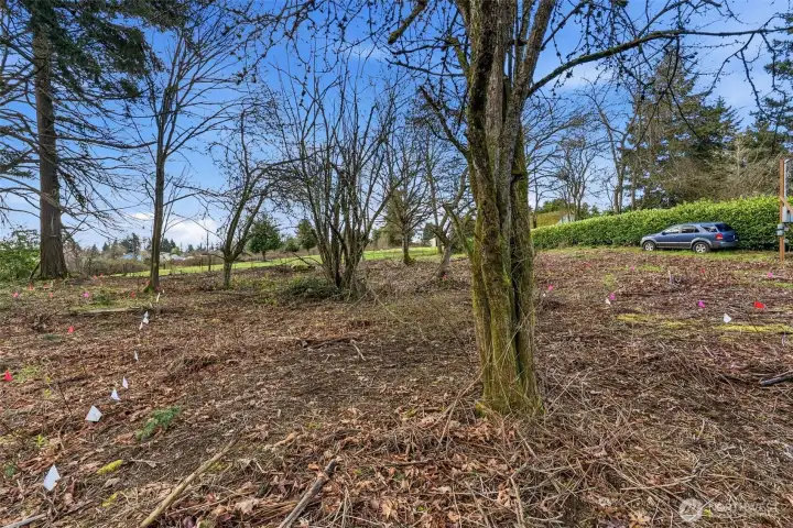 Lot 1