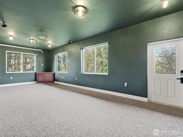 Media Room - Theater