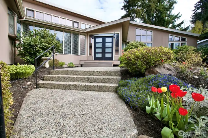 Modern front door
