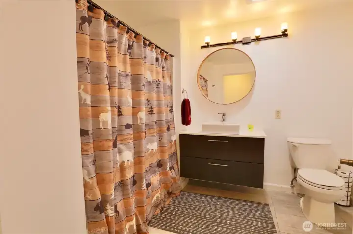 Third full bathroom on lower level