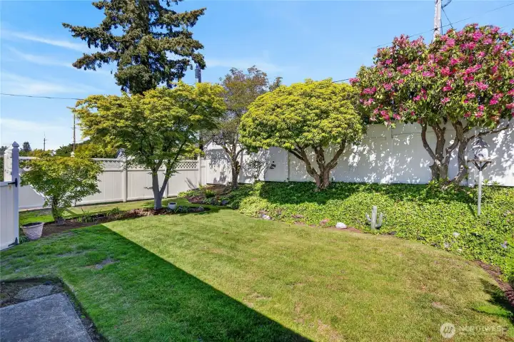 Side yard