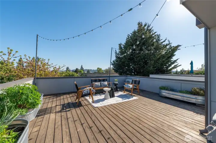 Expansive rooftop deck! You can see Mt. Rainier and the top of the Space Needle on a clear day.