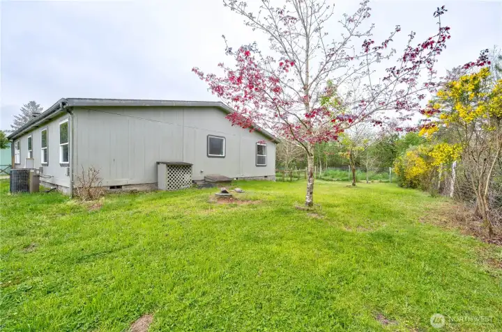 side yard