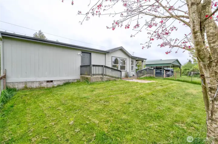 back side of home overlooking the 5 acres
