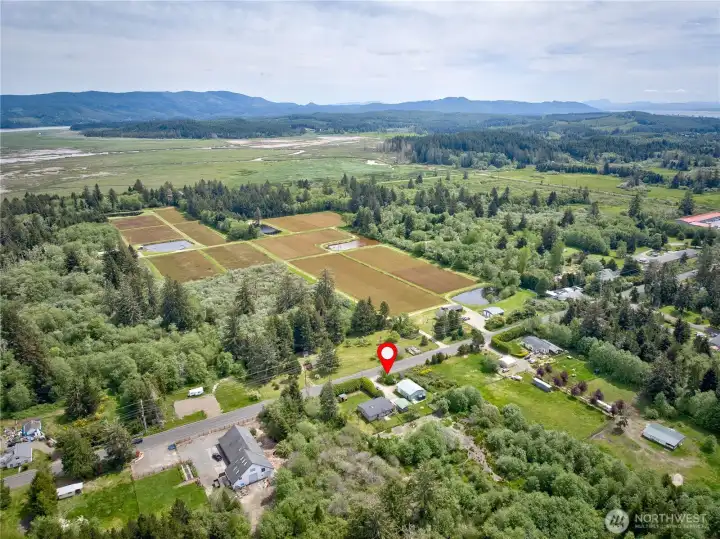 Willapa Hills in the distance