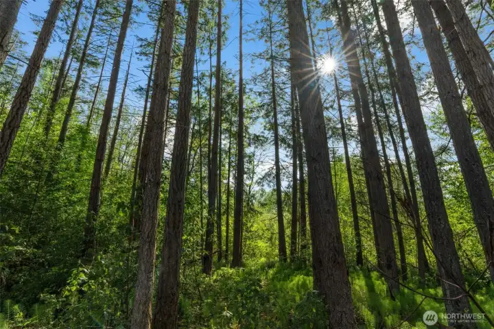 Surrounded by nature!