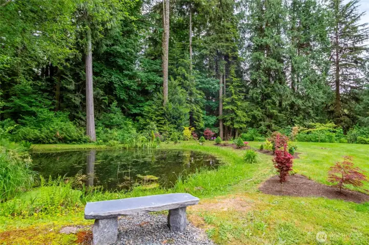 Scenic pond