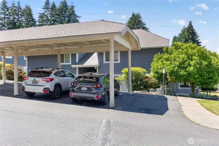 Second parking spot is the one on the right, uncovered on the end