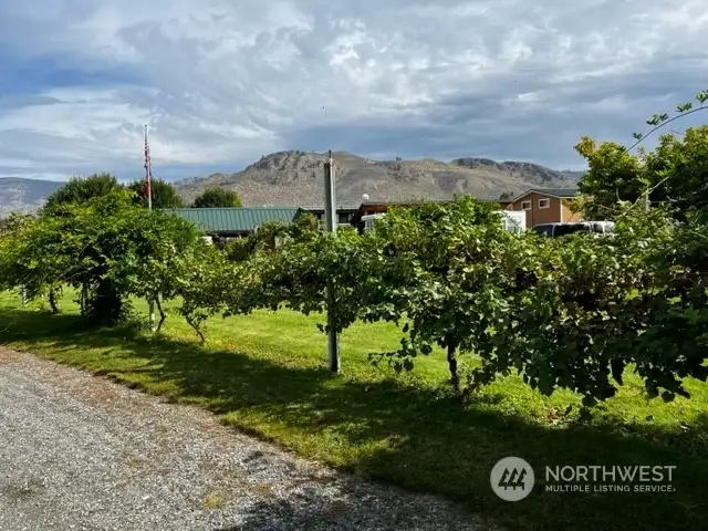 Grape arbor