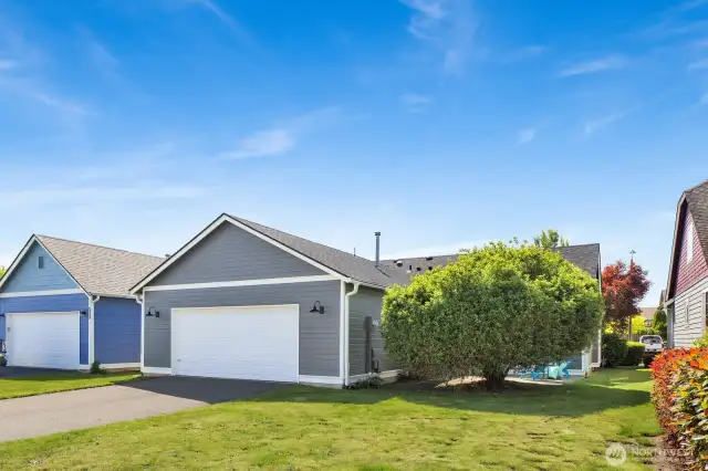 The backyard. The lot size is 6098 Square Feet.