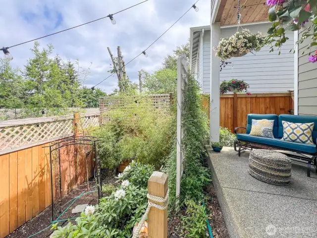 Patio and rear Garden
