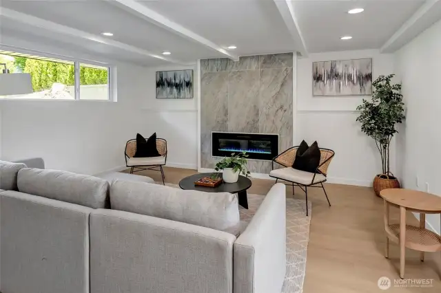 Lower level living room with electric fireplace.