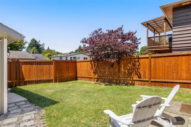 Newly installed fenced-in landscaped yard.